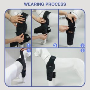 Hilltown Dog Elbow Brace for Shoulder & Front Leg, Canine Elbow Wrap for Shoulder Dislocation, Pressure Sores, Elbow Injury and Loss of Stability from Arthritis (XL, Both Legs)