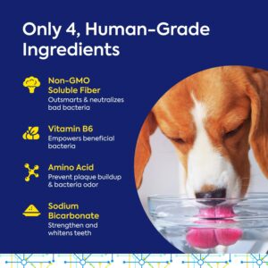 TEEF! for Life Protektin42 Plant-Derived Dental Water Additive for Dogs, Daily Dental Care, Clinically-Proven Formula Naturally Fights Plaque and Tartar, Refill Packet with 30 Servings