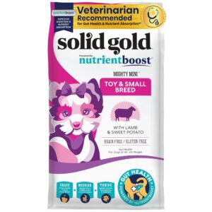 solid gold nutrientboost mighty mini small breed dog food - dry dog food made with real lamb for any toy breed - grain & gluten free recipe for gut health & sensitive stomach support - 3.75 lb bag