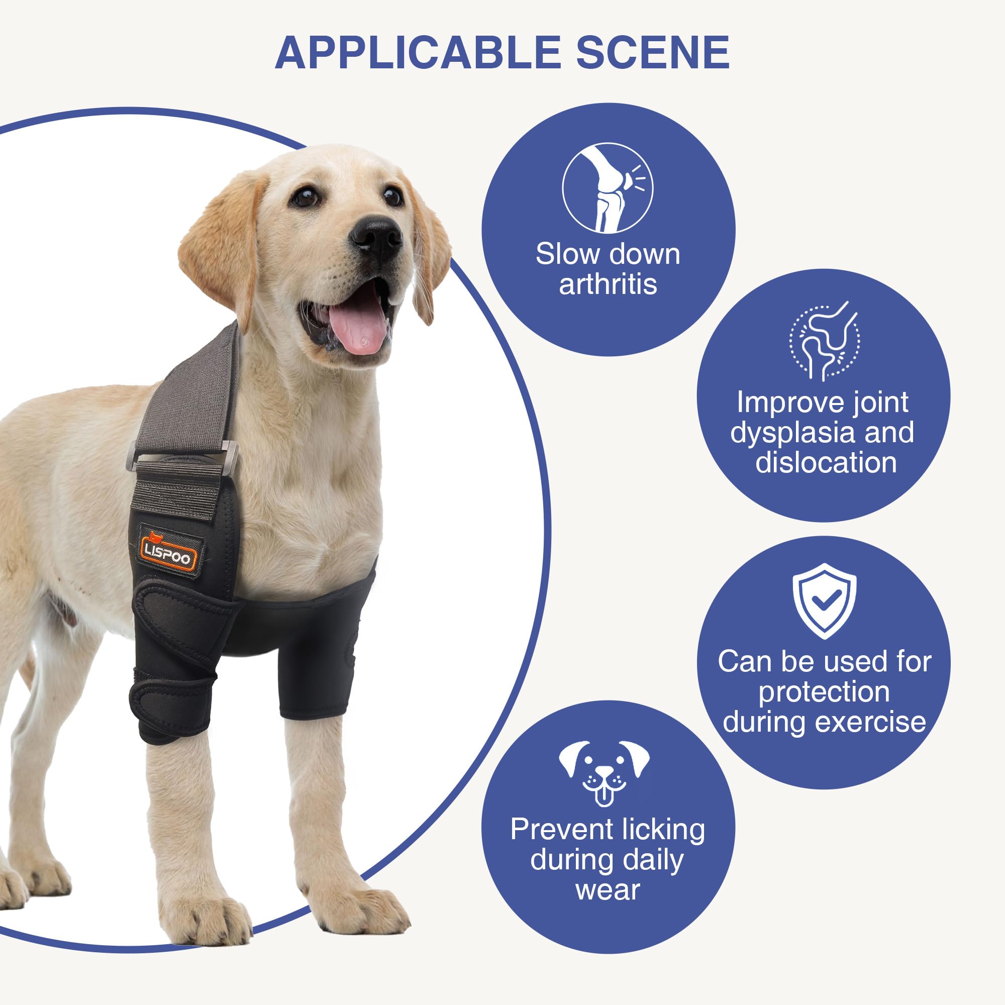 Hilltown Dog Elbow Brace for Shoulder & Front Leg, Canine Elbow Wrap for Shoulder Dislocation, Pressure Sores, Elbow Injury and Loss of Stability from Arthritis (XL, Both Legs)