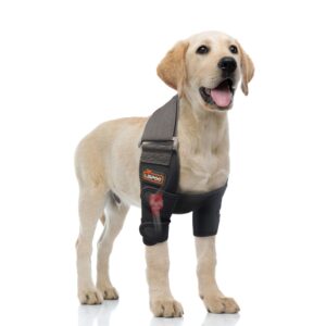 hilltown dog elbow brace for shoulder & front leg, canine elbow wrap for shoulder dislocation, pressure sores, elbow injury and loss of stability from arthritis (xl, both legs)