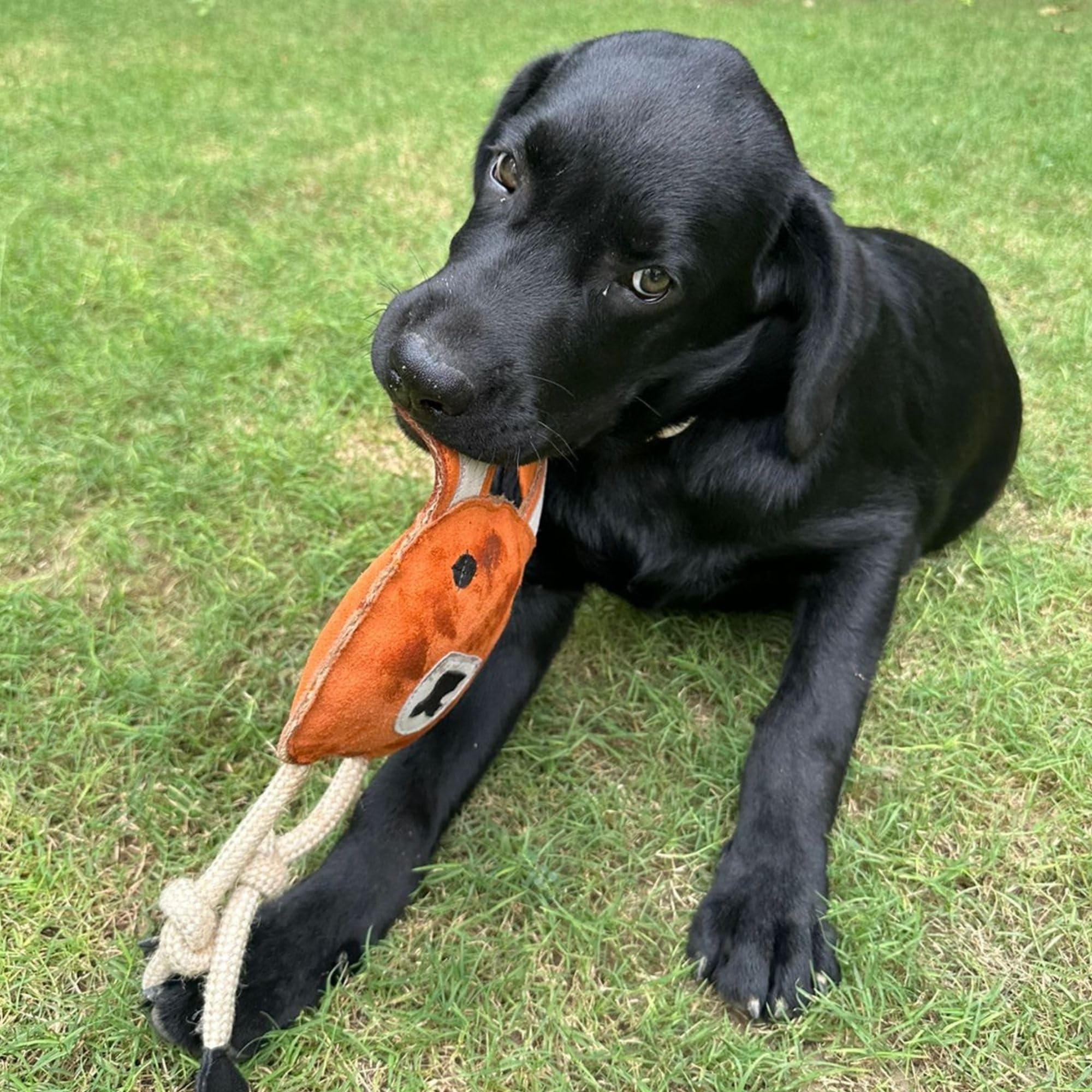 Frezco Llama Dog Rope Toy | Handmade with Natural Suede Leather and Tough Cotton Rope | Ideal for Teething, Puppy, Small and Medium Dogs | 100% Stuffed with Coconut Fibers