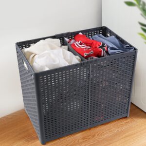 Rosebloom Plastic Double Laundry Hamper with Lid, Collapsible 2 Section Laundry Basket, Gray