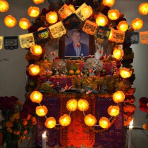 Riceshoot 21 Pcs Day of The Dead Decorations for Dia De Los Muertos Include 3 Pcs 4.9 ft Artificial Marigold Garland with LED, 16 Pcs Monarch Butterfly Decorations, 2 Pcs 16.4 ft Mexican Party Banner