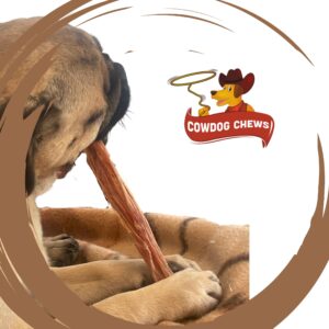 Cowdog Chews Premium Puppy Bully Stick for Small Dogs - Natural Dog Treats Delights for Their Chewing Needs 20 Oz (580 gr.)