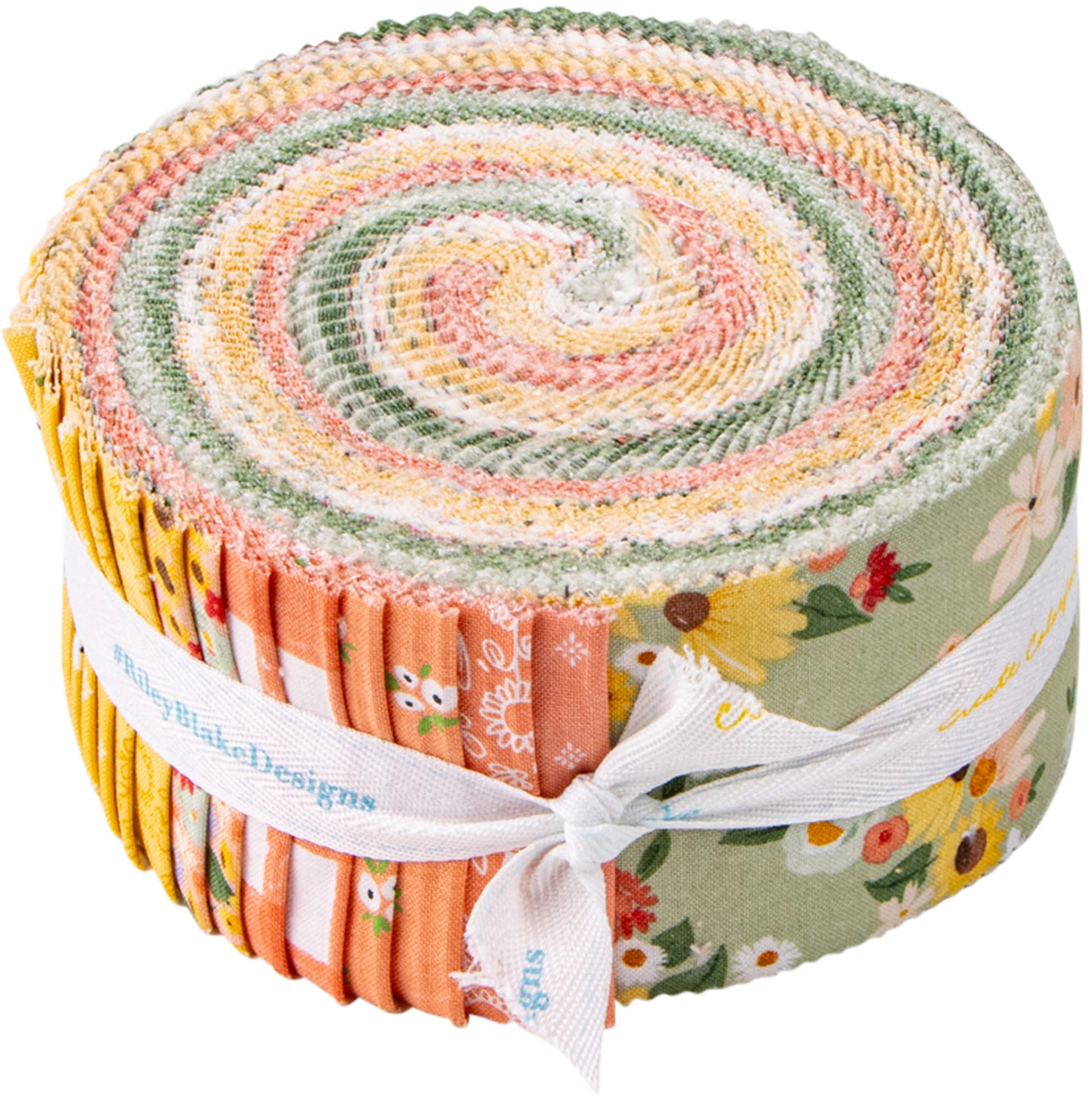 Echo Park Paper Co. Homemade Rolie Polie 40 2.5-inch Strips Jelly Roll Riley Blake RP-13720-40