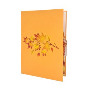 Pop Up Greeting Card Japanese Maple Orange Dream Autumn Card Thank You Birthday Card Nature Card Fall Color Gift Card for Kid Mom Dad Family