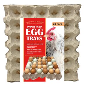 paper pulp egg trays - 20 pack