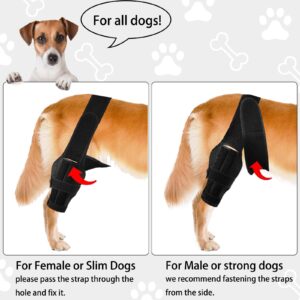 Dog Knee Brace for Torn ACL Hind Leg-Upgraded Dog Leg Brace for Cruciate Ligament Injury,Adjustable Support for Joint Pain,Muscle Soreness,Knee Cap Dislocation (Medium)