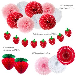 ANSOMO Strawberry Party Decorations Red Pink White Tissue Pom Poms Fans Honeycom Balls Lanterns Garland Classroom Berry Sweet Fruits 1st One Birthday Bridal Baby Shower Décor Supplies Girls