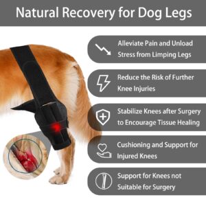 Dog Knee Brace for Torn ACL Hind Leg-Upgraded Dog Leg Brace for Cruciate Ligament Injury,Adjustable Support for Joint Pain,Muscle Soreness,Knee Cap Dislocation (Medium)