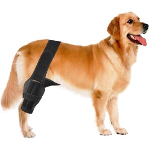 dog knee brace for torn acl hind leg-upgraded dog leg brace for cruciate ligament injury,adjustable support for joint pain,muscle soreness,knee cap dislocation (medium)