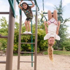 Lifetime 91028 Monkey Bar Adventure Swing Set - Earth Tone Colors & XDP Recreation 70113 Swing Set, Trampoline, & Patio Furniture Metal Ground Anchor Kit Hardware,Bronze