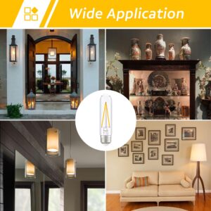 Dimmable E26 T10 LED Bulb Long Tube Light Bulb,Type T Tubular Light Bulbs for Curio Cabinet,Piano Light,Chandelier ,Wall Sconces,4W(40W Equivalent) AC120V Warm White 2700K 400LM CRI 90,Pack of 2