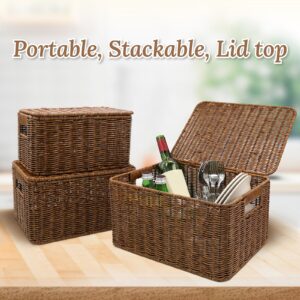 WeeNest Baskets with Lids, Wicker Storage Baskets with Lids, Shelf Baskets for Organizing, Baskets with Lids for Organizing, Wicker Decorative Basket, Resin Wicker Set of 3, Toffee