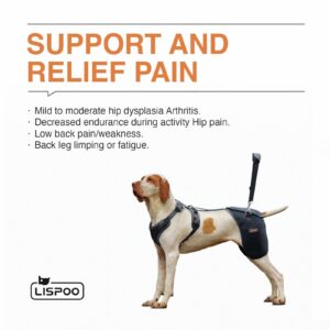 LISPOO Dog Hip Support Brace for Hip dysplasia,Hip Pain, Dog Hip Brace Support for Luxating Pattela,Hip Brace for Dogs Warm Hip Joint and Relieve Pain,Dog Hip Dysplasia Brace(L)