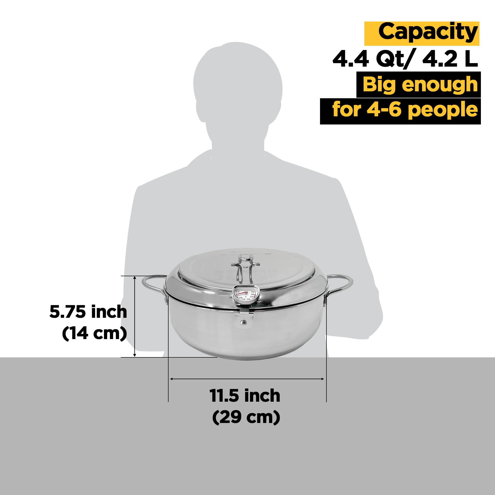 Saltlas Deep Fryer Pot (°C), 11"/4.4Qt (4.2 L) Extra Large Tempura Frying Pot with Lid, 304 Stainless Steel Fry Pot with Temperature Control and Oil Drip Drain Rack
