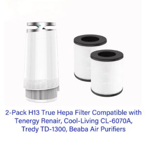 Replacement Filter Compatible with Cool-Living CL-6070A: H13 True Hepa Filter For Tenergy Renair Beaba Tredy TD-1300 Air Purifiers, 3 IN 1 H13 True HEPA Filter With Activated Carbon - 2 Pack