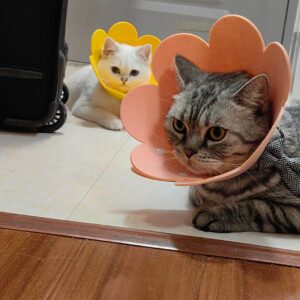 【4PCS】 Soft Cat Cone Collar,Adjustable Protective Collars for Pet Cat,Recovery cat E Collar, Anti-Bite Lick Wound Healing Soft cat Cones to Stop Licking cono para perro Cone for cat Cone Soft (M)