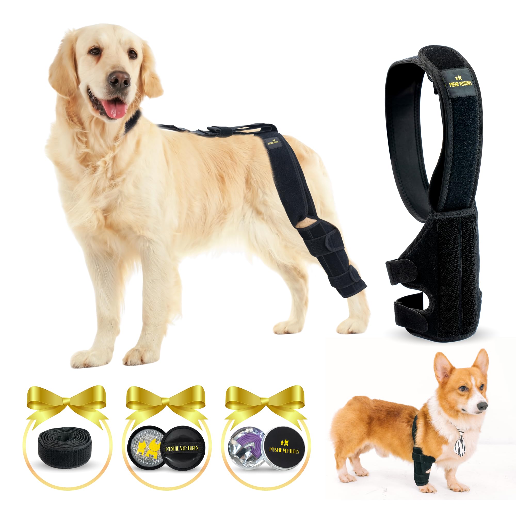 Mushie Ventures 4-in-1 Dog Knee Brace Bundle For Cruciate Ligament Injury, Luxating Patella, Torn ACL Knee with Adjustable Front Hind Leg Brace with Back Strap, Calm Collar, Therapeutic pad(SMALL DOG)