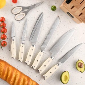 NANFANG BROTHERS Kitchen Knife Set,10 Pieces Damascus Steel Chef Knife Set with Block,VG10 Professional Knives Set with Knife Sharpener and Kitchen Shears