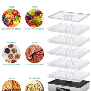 Reemix Food Dehydrator Machine, Compact Dehydrators for Food and Jerky, Fruits, Veggies, 500W Dehydrated Dryer with Temperature Control, 5 BPA-Free Trays Dishwasher Safe, Silver