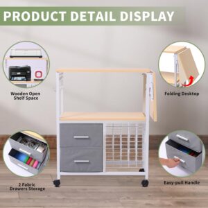 Organization and Storage Cart Compatible with Cricut Machines，Rolling Craft Storage Removable Vinyl Holders and Drawer, Crafting Desk with Storage for Craft Room