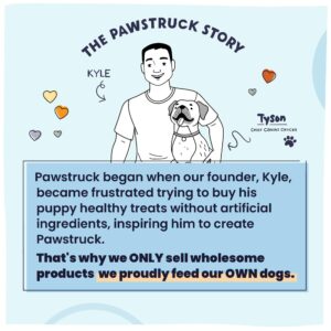 Pawstruck All Natural Air Dried Dog Food w/Real Chicken - Grain Free, Made in USA, Non-GMO & Vet Recommended - High Protein Limited Ingredient Wholesome Full-Feed - for All Breeds & Ages - 2lb Bag