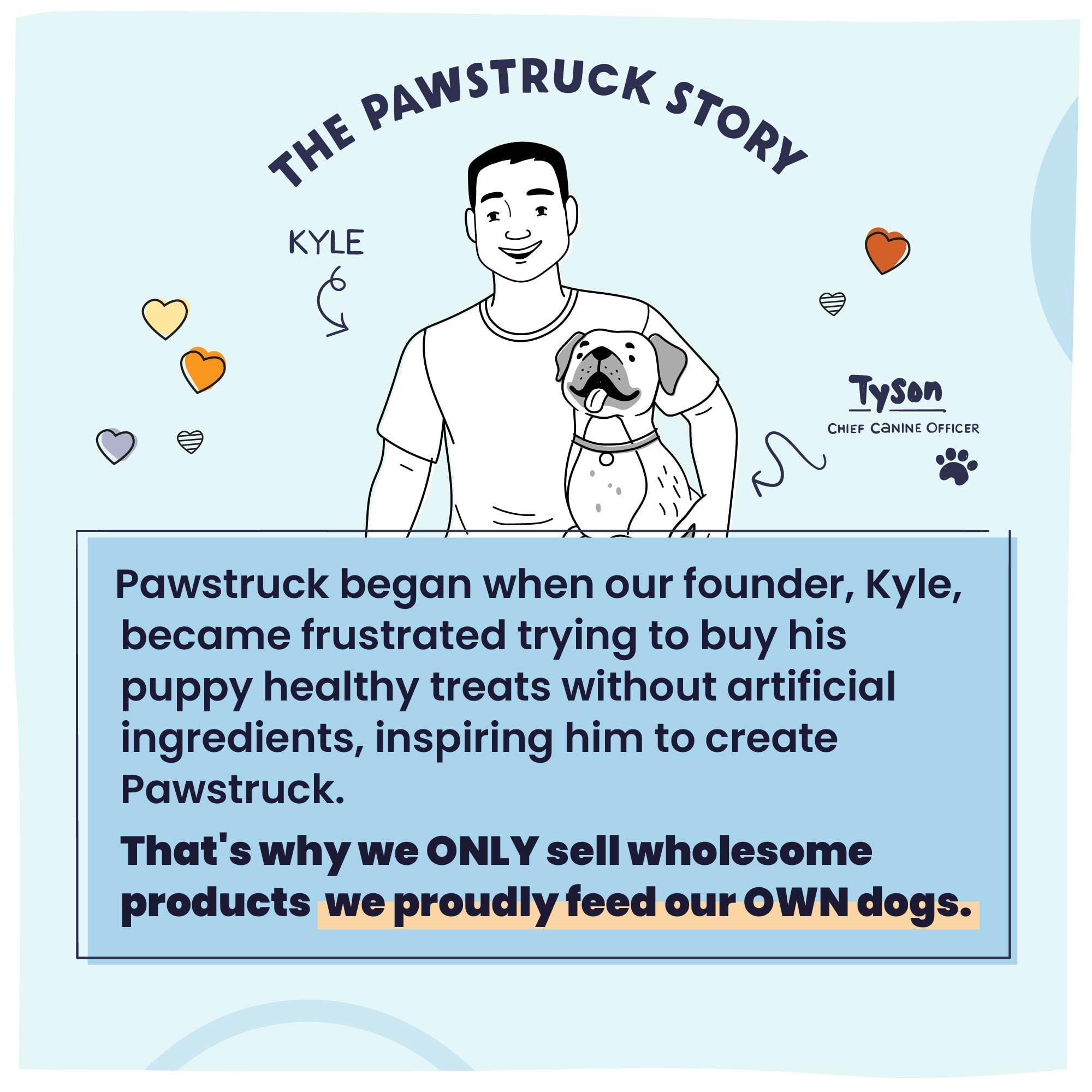 Pawstruck All Natural Air Dried Dog Food w/Real Chicken - Grain Free, Made in USA, Non-GMO & Vet Recommended - High Protein Limited Ingredient Wholesome Full-Feed - for All Breeds & Ages - 2lb Bag