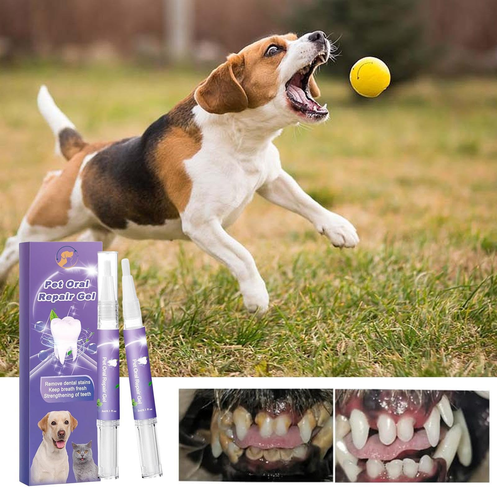 Pet Oral Repair Gel, Pet Oral Restorative Gel, Eliminate Breath, Targets Tar-Tar, Without Brushing, Pet Teeth Whitening, Pet Breath Freshener Gel Care Cleaner