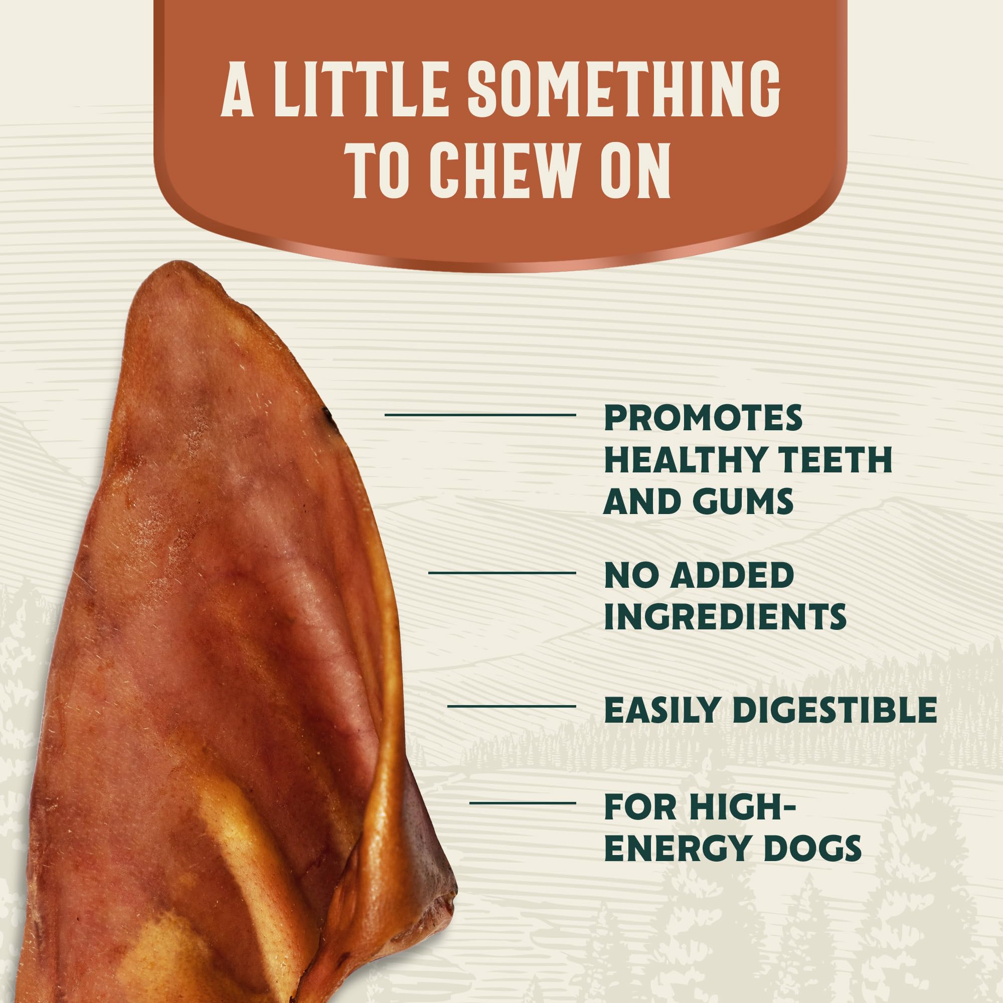 Hank & Roy All-Natural, Single-Ingredient Pig Ears for Dogs, Long Lasting, Easily Digestible Whole Pig Ear Dog Treats, Antibiotic and Hormone Free, Individually Wrapped for Odor Control and Freshness