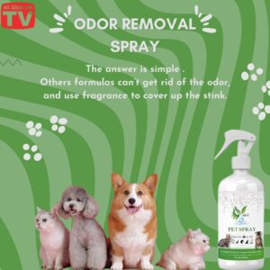 VoilaVe Pure Hypochlorous Acid Spray for Dogs, Cats | Pet Spray for Itchy, Irritated Skin, Allergy, Rashes | Supports Hydration, and Reduce Odor - 8 Oz