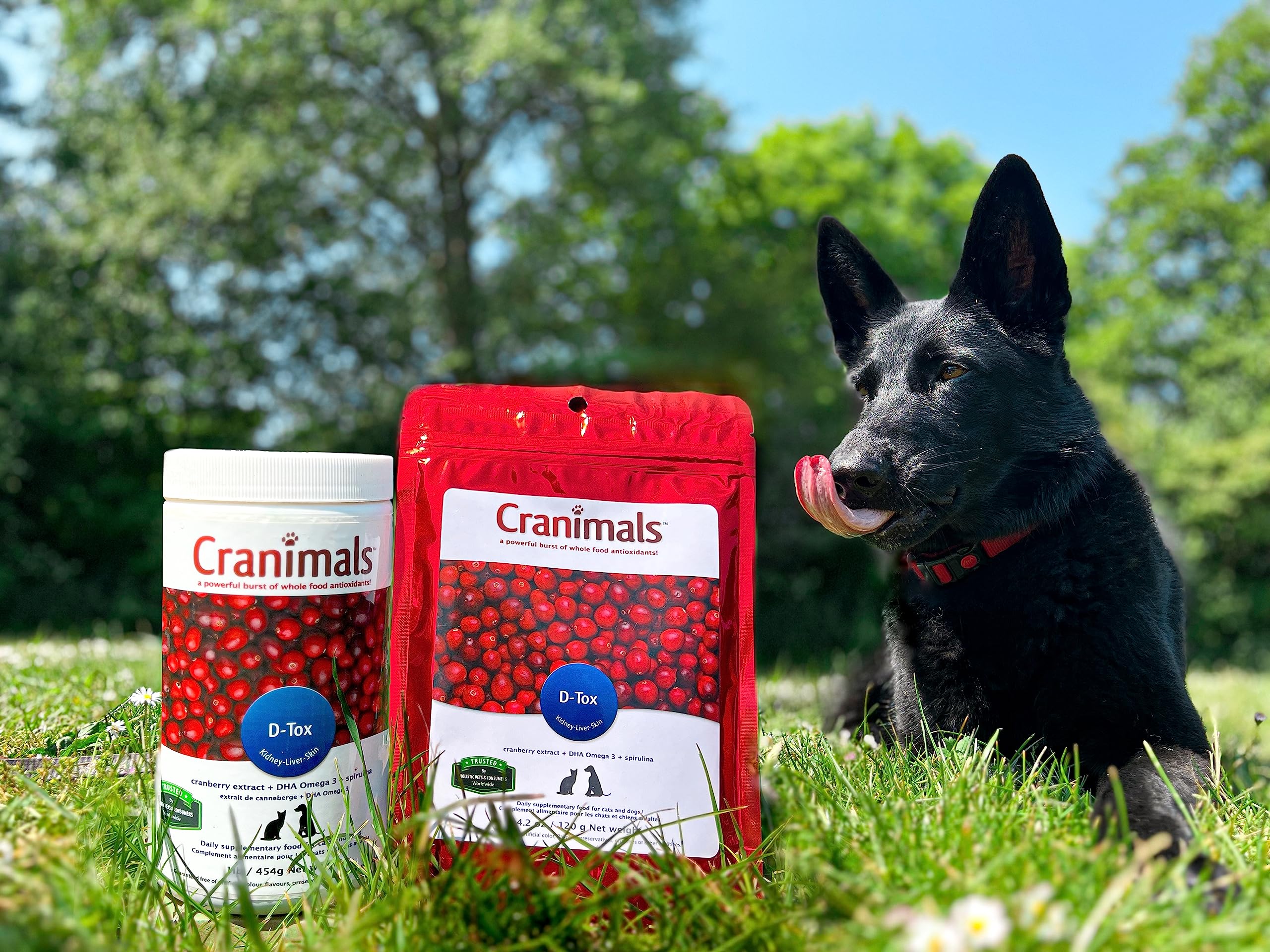 Cranimals D-Tox Daily Multivitamin for Dogs, Superfood Amino Acids, Antioxidants, DHA Fatty Acids, Vitamins E, B, D, Biotin, Minerals to Support Metabolic Function, Energy, Pet Wellness, Longevity