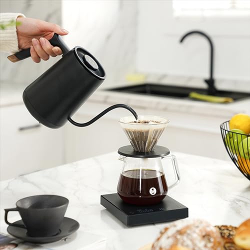 TIMEMORE Electric Gooseneck Kettle with Temperature Control FISH SMART BPA Free Stainless Steel Tea Kettle Automatic Shut Off for Coffee, Tea, Basics 600ml, Black