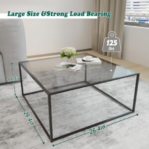 Glass Coffee Tables for Living Room Square Modern Center Table for Small Space,Tempered Glass-top with Sturdy Metal Frame Sofa Side End Table, Easy Assembly,26.4 x 26.4 x 15.7 Inches, Gray Black