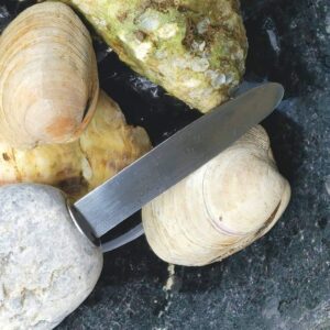 Stone Oyster Knife - Premium Utensil for Shellfish Preparation and Serving - Natural Beach Stone Handle - Ergonomic Design - Stainless Steel Blade