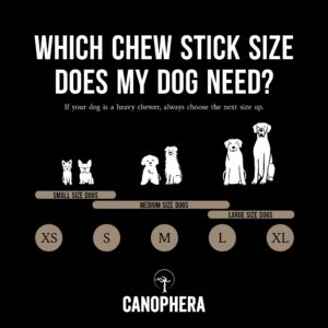 Canophera Premium Xtra Small Dog Chew: 100% Natural Sheep Horn for Dental Health & Durability. Odor-Free (Large)