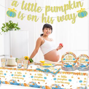 170Pcs A Little Pumpkin is On His Way Baby Shower Party Decorations Little Pumpkin Baby Shower Decorations Boy A Little Pumpkin is On The Way Baby Shower Boy Blue Pumpkin Baby Shower Decorations