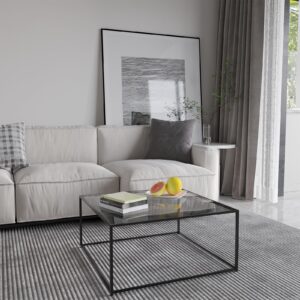 Glass Coffee Tables for Living Room Square Modern Center Table for Small Space,Tempered Glass-top with Sturdy Metal Frame Sofa Side End Table, Easy Assembly,26.4 x 26.4 x 15.7 Inches, Gray Black