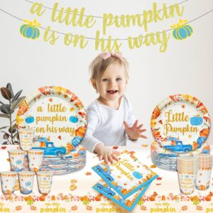 170Pcs A Little Pumpkin is On His Way Baby Shower Party Decorations Little Pumpkin Baby Shower Decorations Boy A Little Pumpkin is On The Way Baby Shower Boy Blue Pumpkin Baby Shower Decorations