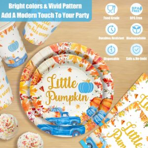 170Pcs A Little Pumpkin is On His Way Baby Shower Party Decorations Little Pumpkin Baby Shower Decorations Boy A Little Pumpkin is On The Way Baby Shower Boy Blue Pumpkin Baby Shower Decorations