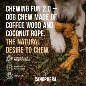 Canophera Dog CHEW Made of Coffee Wood and Coconut Rope - for All Breeds (Large)