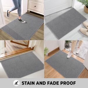 Syalife Door Mat Indoor Doormat, Non-Slip Resist Dirt Entryway Rug Entrance Mat, Dog Door Mat, Super Absorbent Welcome mat for Muddy Wet Shoes and Paws, 20"x31.5", Grey 01