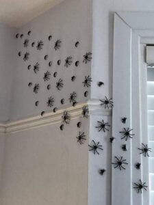 70 pcs halloween spider decorations indoor, 4 sizes 3d plastic spider stickers halloween party supplies decorations for home wall stickers decor - indoor outdoor room window halloween decor