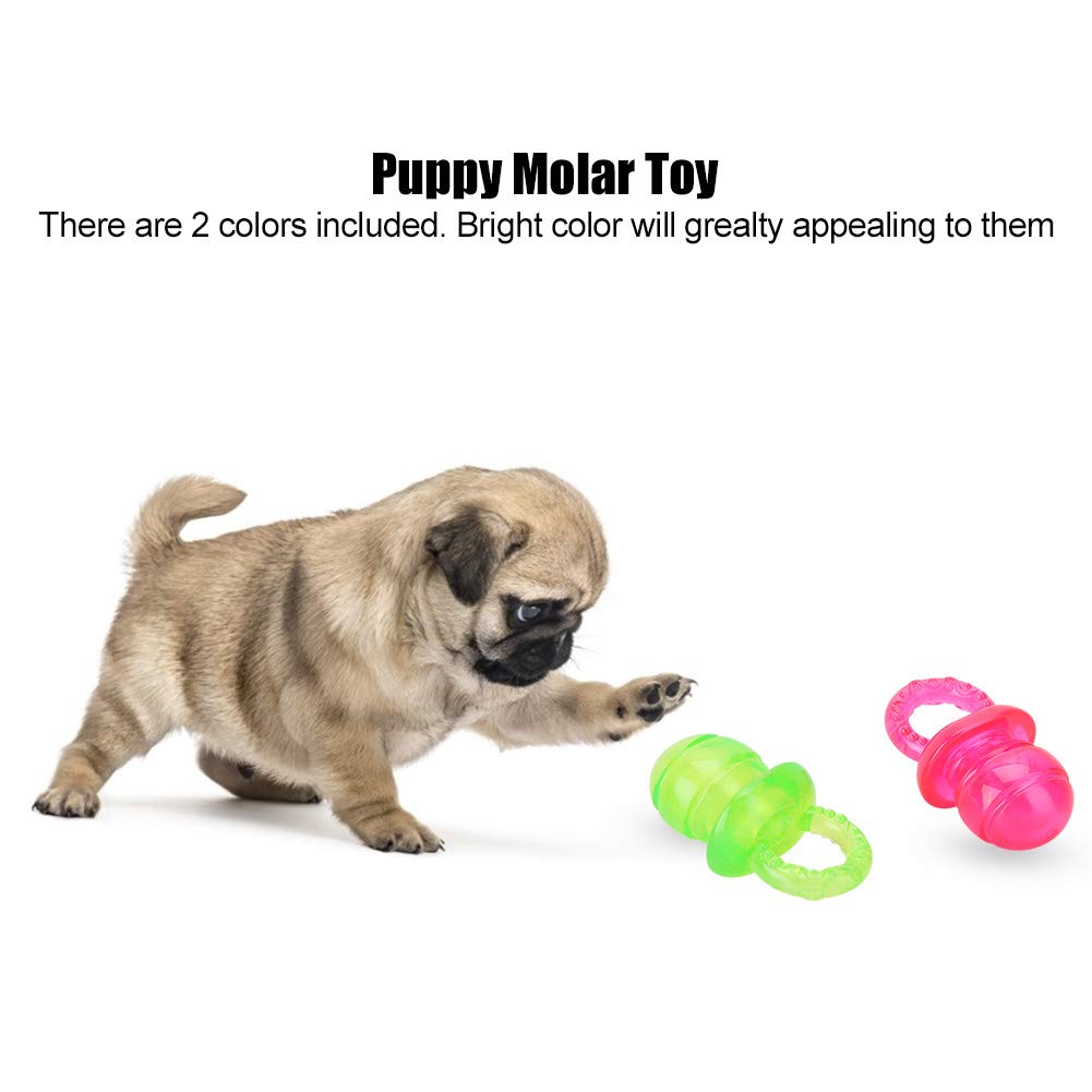 2Pcs Pet Puppy Molar Training Teeth Toy, Bite Resistant Chewing Molars Training Squeaky Toy, Aggressive Chewers Durable Safe Dog Toys, Pacifier Chew Playing Toys for Dog Cat