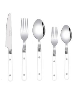 senidike 5/20/30-piece thickened stainless steel silverware flatware cutlery set service for 1/4/6, steak knife and fork spoon dessert tea spoon fruit fork, durable reusable white blue green red