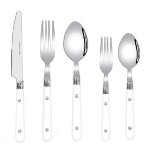 SENIDIKE 5/20/30-Piece Thickened Stainless Steel Silverware Flatware Cutlery Set Service for 1/4/6, Steak Knife And Fork Spoon Dessert Tea Spoon Fruit Fork, Durable Reusable White Blue Green Red