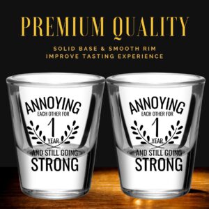 Onebttl Anniversary Cups for Couples, 1 Year Anniversary Funny Gifts for Boyfriend Girlfriend, 1.5 oz (45 ml) Shot Glasses Set of 2 - Annoying Each Other But Still Strong