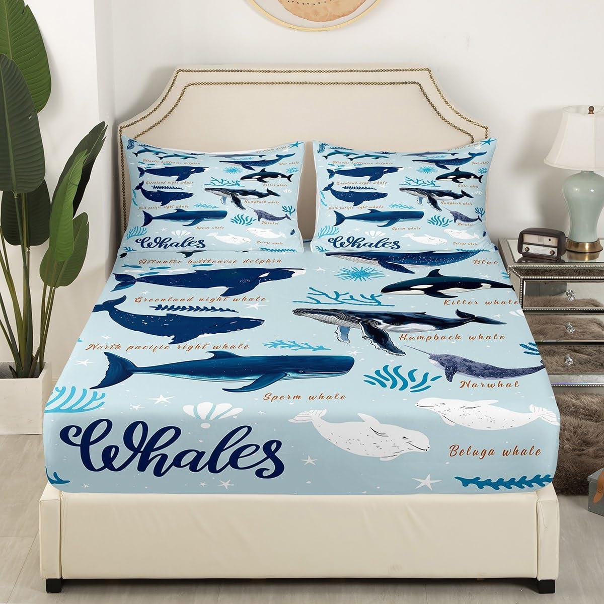 Whale Fitted Sheet Twin for Kids Boys Girls,Coastal Sea Animal Seal Sea Lion Dolphin Bedding Set,Beach Ocean Creatures Under The Sea Bed Sheets,Tropical Nautical Sea Life Whale Bed Set