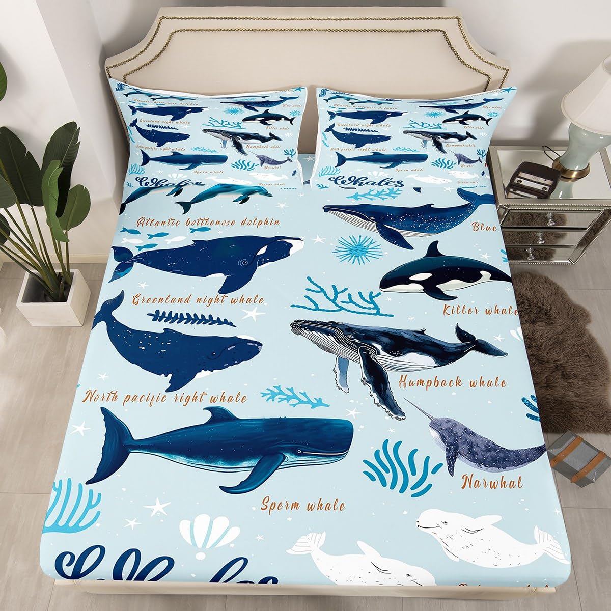 Whale Fitted Sheet Twin for Kids Boys Girls,Coastal Sea Animal Seal Sea Lion Dolphin Bedding Set,Beach Ocean Creatures Under The Sea Bed Sheets,Tropical Nautical Sea Life Whale Bed Set